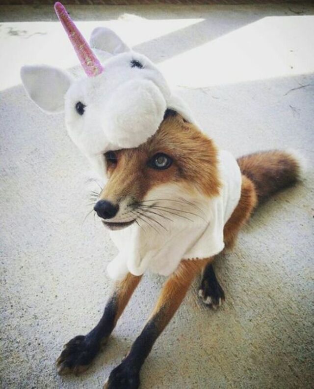 Bildschirmarbeiter - Picdump KW 48/2025