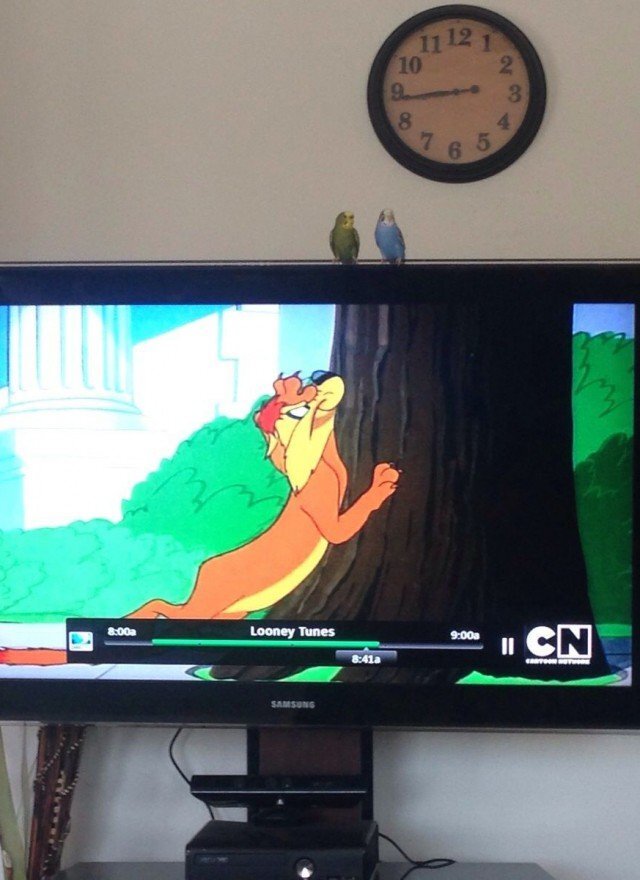 Bildschirmarbeiter - Picdump KW 48/2025