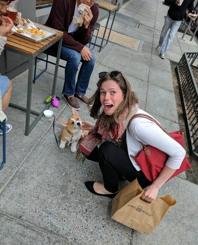 Bildschirmarbeiter - Picdump KW 48/2025