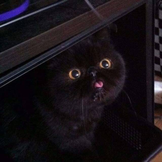 Bildschirmarbeiter - Picdump KW 48/2025