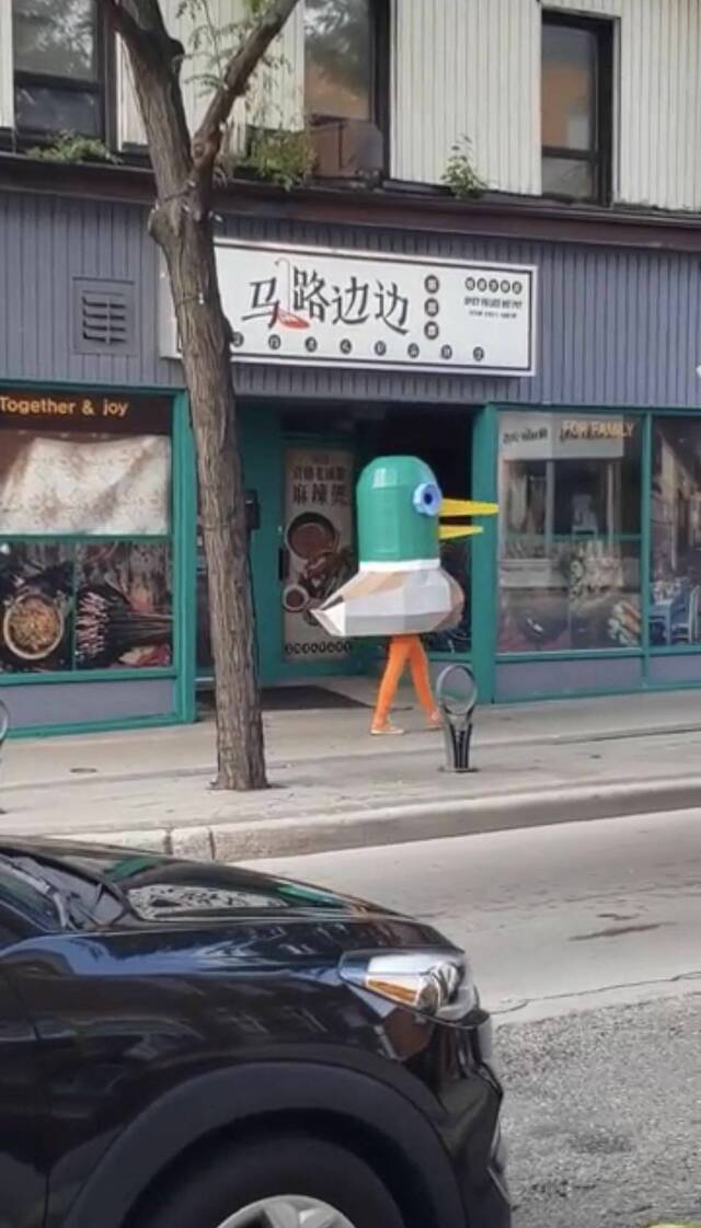 Bildschirmarbeiter - Picdump KW 48/2025