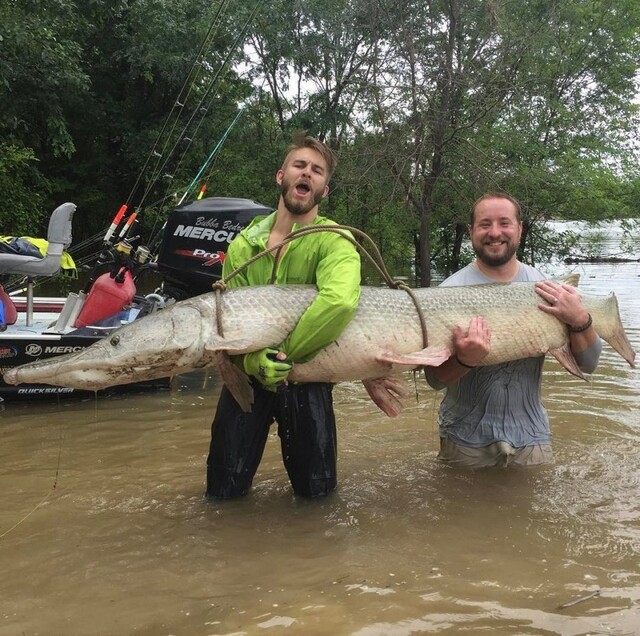 Bildschirmarbeiter - Picdump KW 48/2025