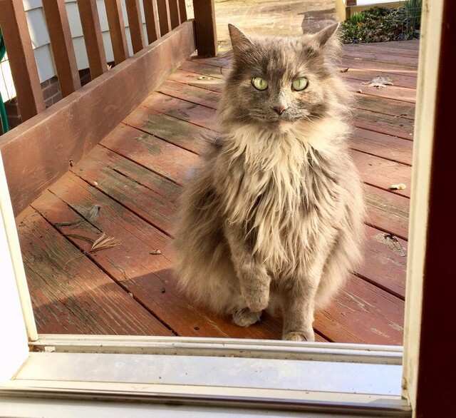 Bildschirmarbeiter - Picdump KW 48/2025