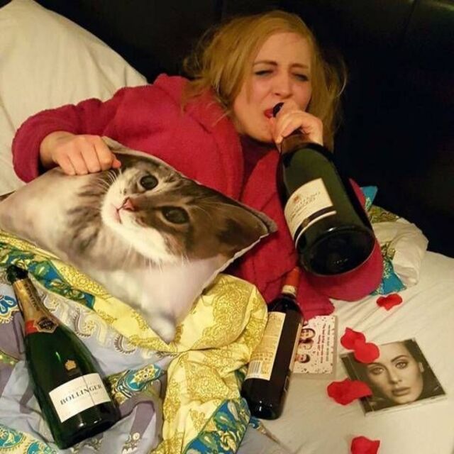 Bildschirmarbeiter - Picdump KW 48/2025