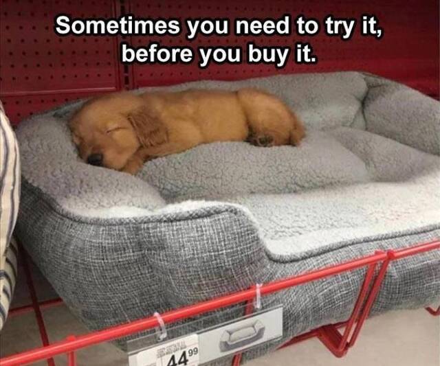 Bildschirmarbeiter - Picdump KW 48/2025