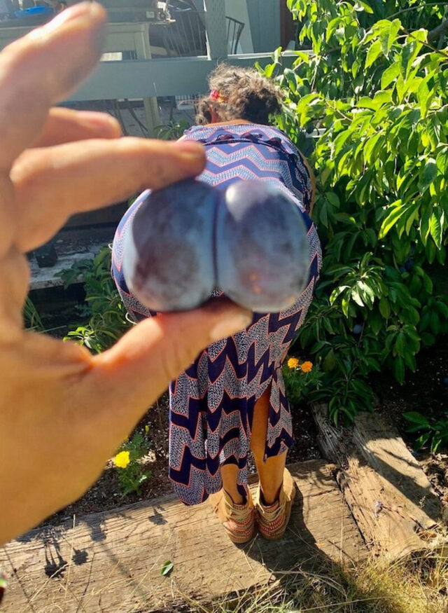 Bildschirmarbeiter - Picdump KW 48/2025