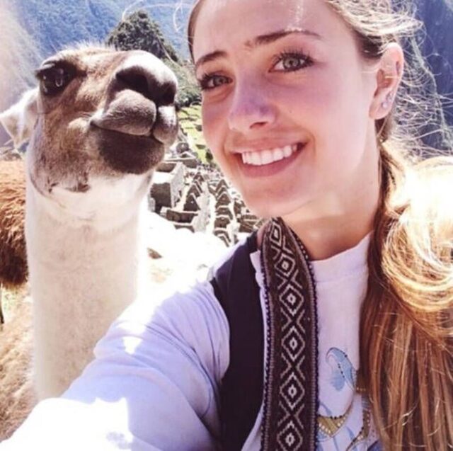 Bildschirmarbeiter - Picdump KW 48/2025