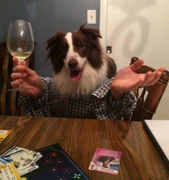 Bildschirmarbeiter - Picdump KW 48/2025