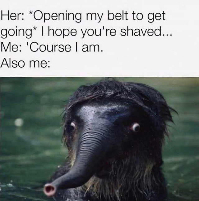 Bildschirmarbeiter - Picdump KW 48/2025