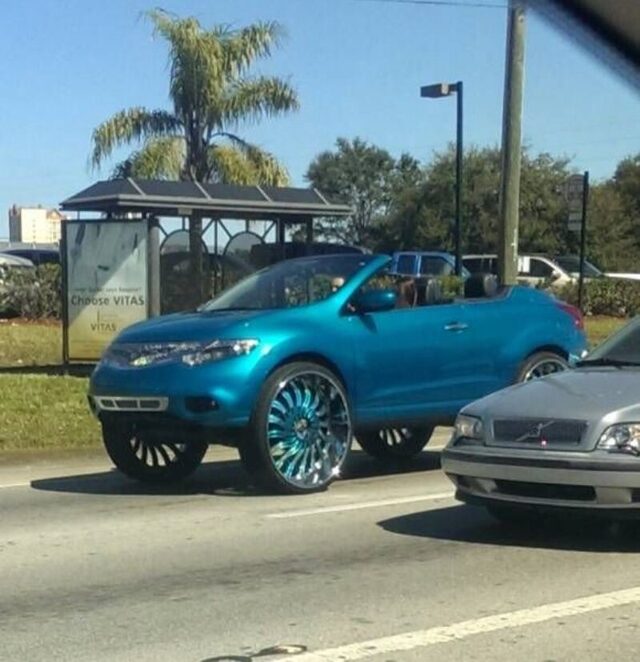 Bildschirmarbeiter - Picdump KW 48/2025