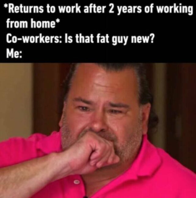 Bildschirmarbeiter - Picdump KW 48/2025