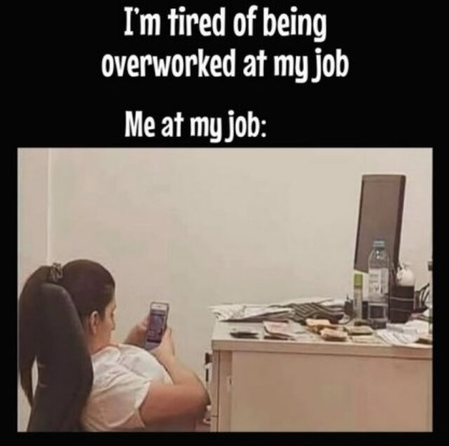 Bildschirmarbeiter - Picdump KW 48/2025