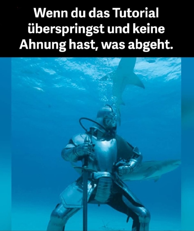 Bildschirmarbeiter - Picdump KW 48/2025