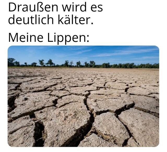 Bildschirmarbeiter - Picdump KW 48/2025