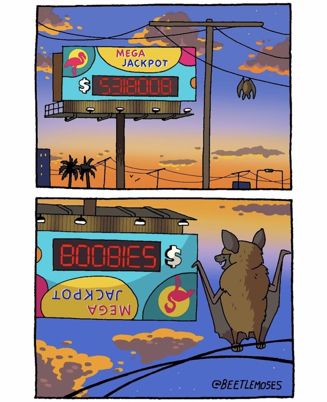 Bildschirmarbeiter - Picdump KW 48/2025