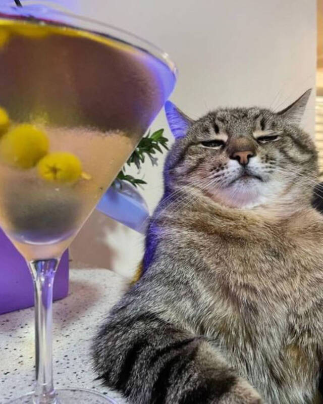 Nachschlag - Bildschirmarbeiter - Picdump KW49 2021