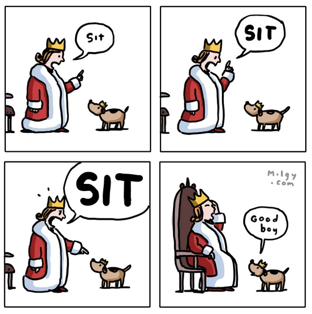 Bildschirmarbeiter - Picdump KW49 2021