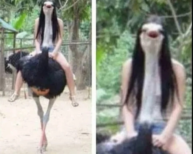 Bildschirmarbeiter - Picdump KW49 2021