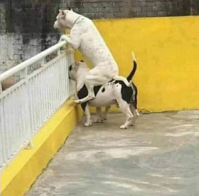 Bildschirmarbeiter - Picdump KW49 2021