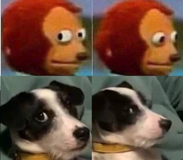 Bildschirmarbeiter - Picdump KW49 2021