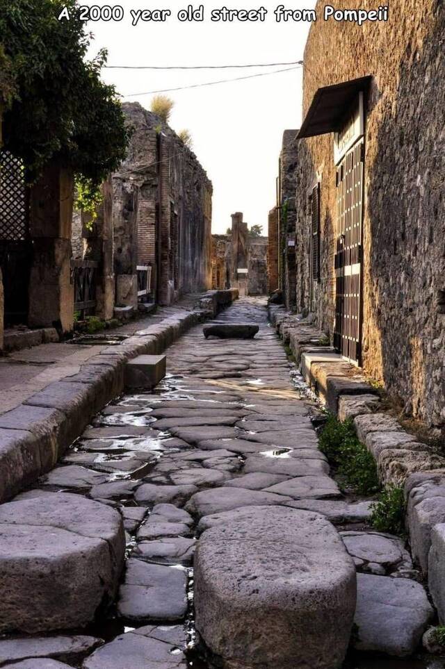 Bildschirmarbeiter - Picdump KW49 2021