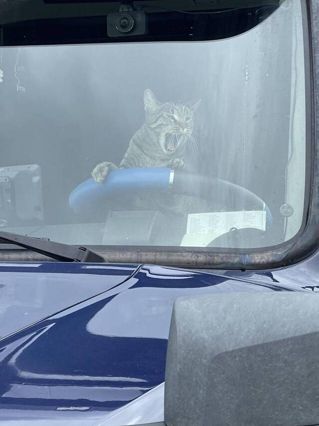 Bildschirmarbeiter - Picdump KW49 2021