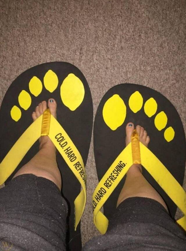 Bildschirmarbeiter - Picdump KW49 2021