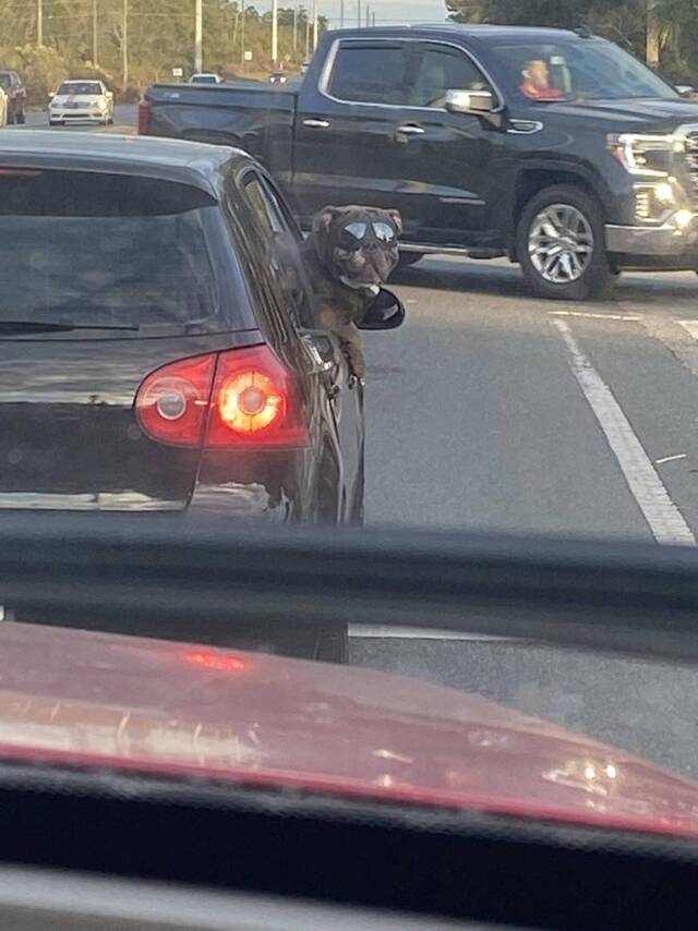 Bildschirmarbeiter - Picdump KW49 2021