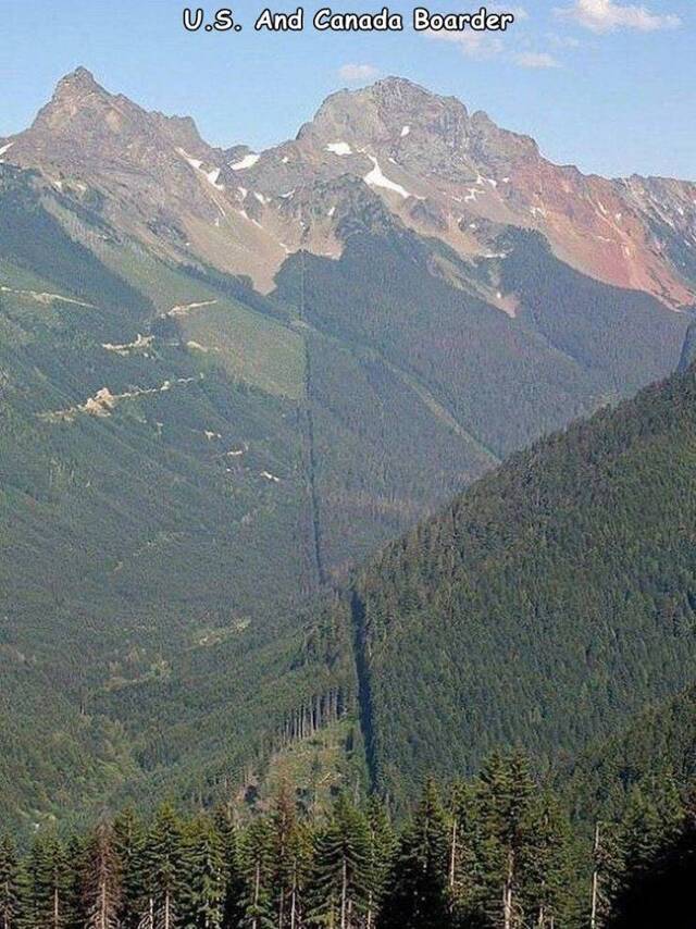 Bildschirmarbeiter - Picdump KW49 2021