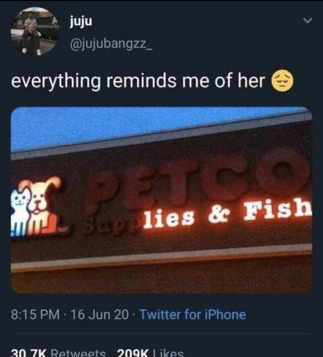 Bildschirmarbeiter - Picdump KW49 2021