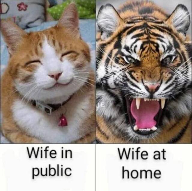 Bildschirmarbeiter - Picdump KW49 2021