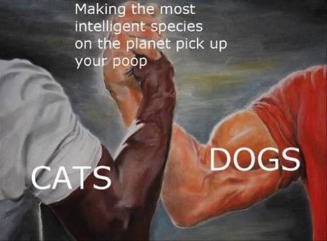 Bildschirmarbeiter - Picdump KW49 2021