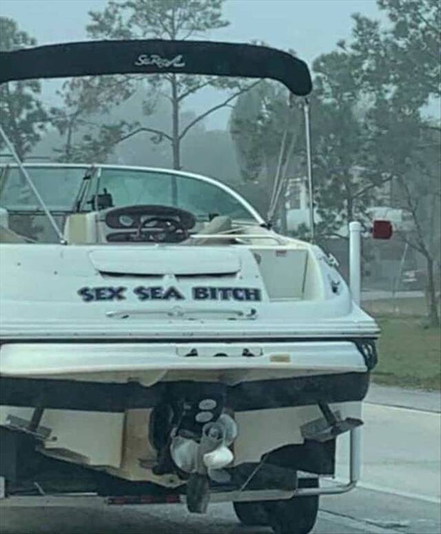 Bildschirmarbeiter - Picdump KW49 2021