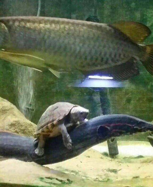 Nachschlag - Bildschirmarbeiter - Picdump KW 49/2023