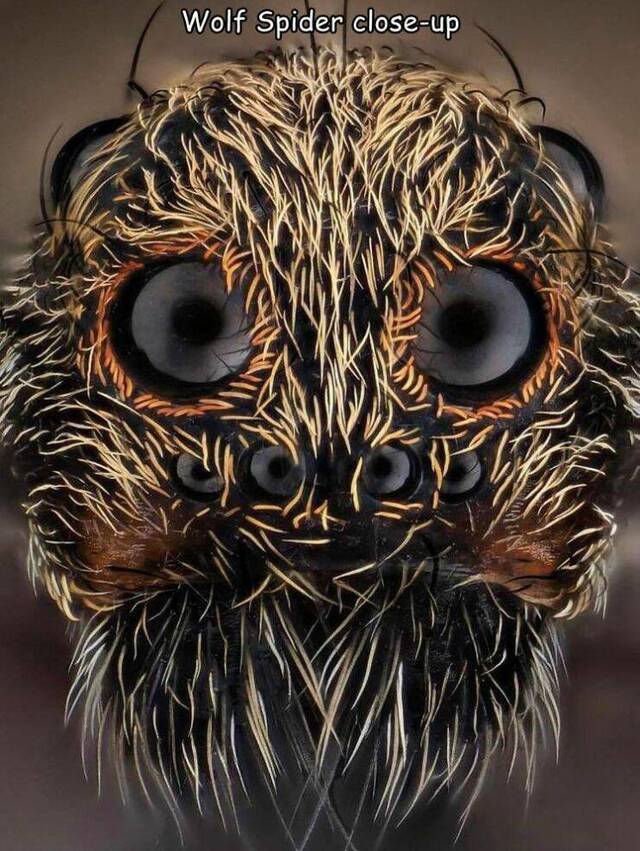 Nachschlag - Bildschirmarbeiter - Picdump KW 49/2023