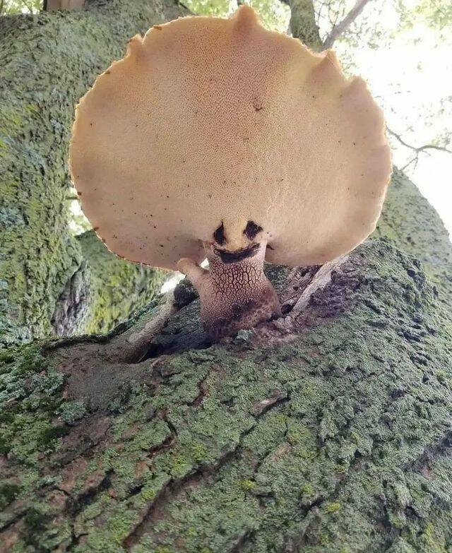 Nachschlag - Bildschirmarbeiter - Picdump KW 49/2023