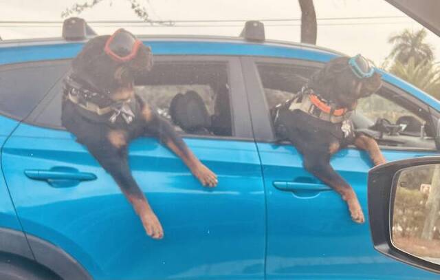 Nachschlag - Bildschirmarbeiter - Picdump KW 49/2023