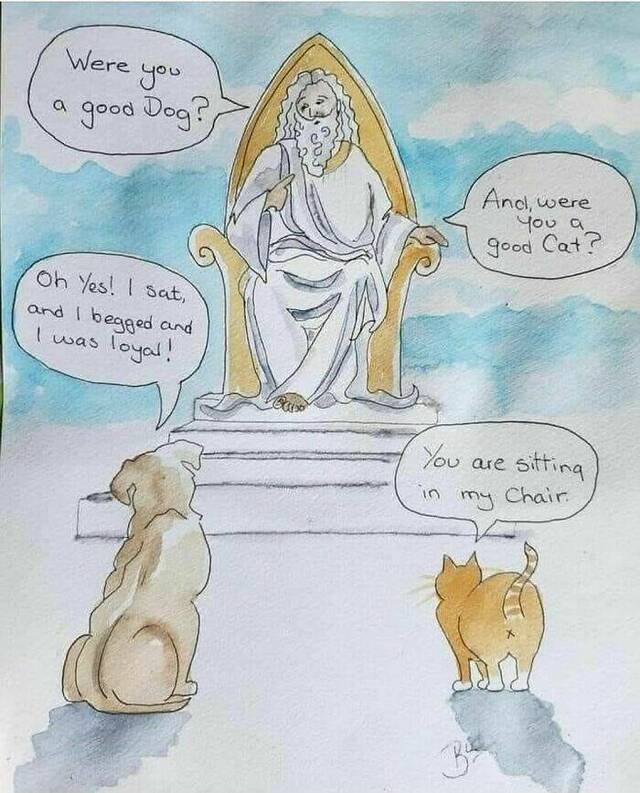 Nachschlag - Bildschirmarbeiter - Picdump KW 49/2023