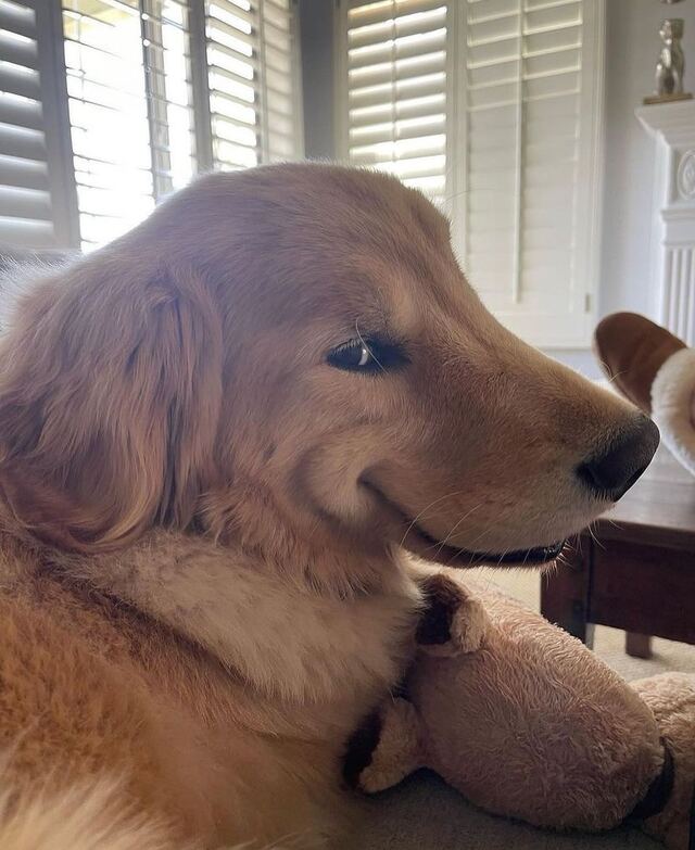 Nachschlag - Bildschirmarbeiter - Picdump KW 49/2023