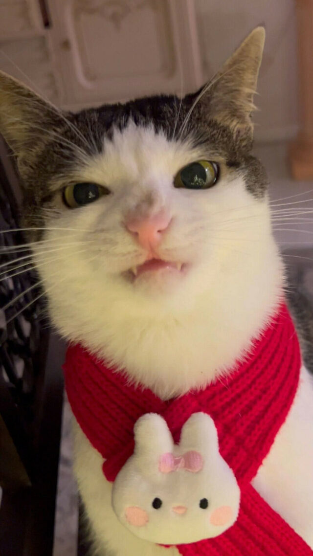 Nachschlag - Bildschirmarbeiter - Picdump KW 49/2023