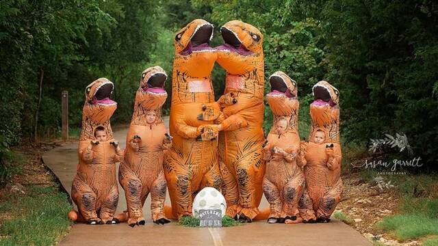 Bildschirmarbeiter - Picdump KW 49/2024