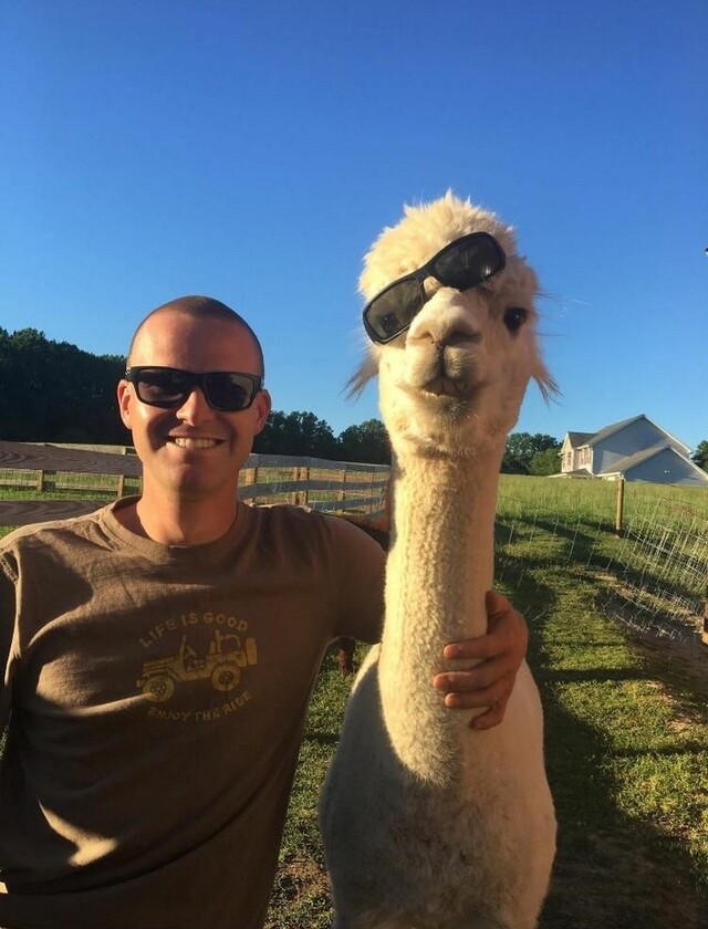 Bildschirmarbeiter - Picdump KW 49/2025