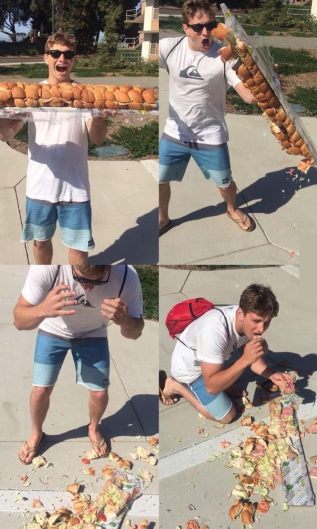 Bildschirmarbeiter - Picdump KW 49/2025