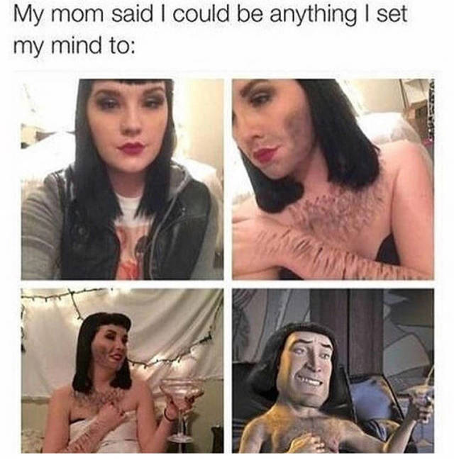 Bildschirmarbeiter - Picdump KW 49/2025