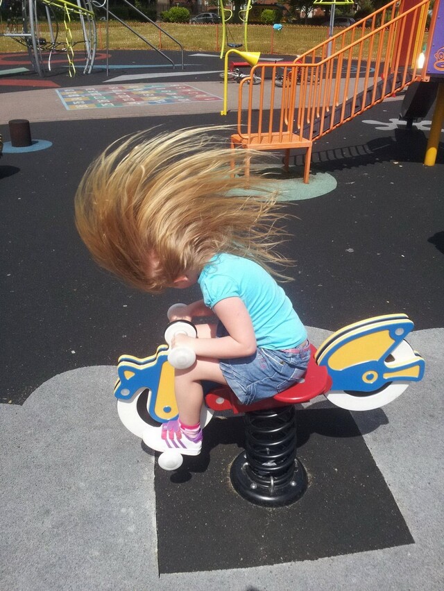 Bildschirmarbeiter - Picdump KW 49/2025