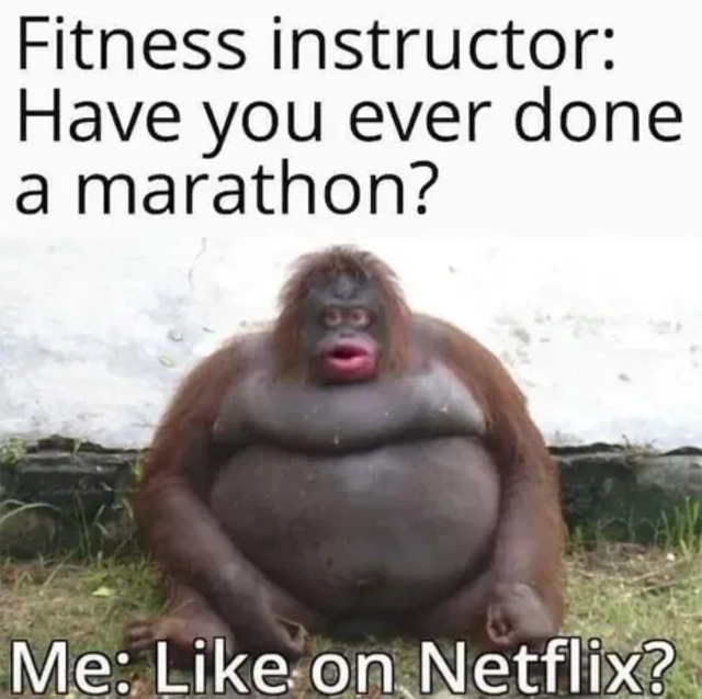 Bildschirmarbeiter - Picdump KW 49/2025