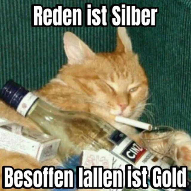 Bildschirmarbeiter - Picdump KW 49/2025