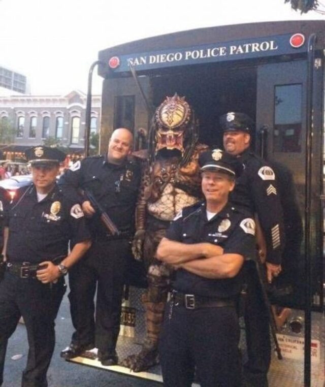 Bildschirmarbeiter - Picdump KW 49/2025