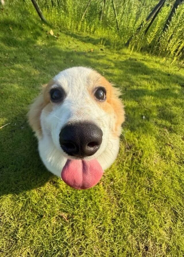 Bildschirmarbeiter - Picdump KW 49/2025