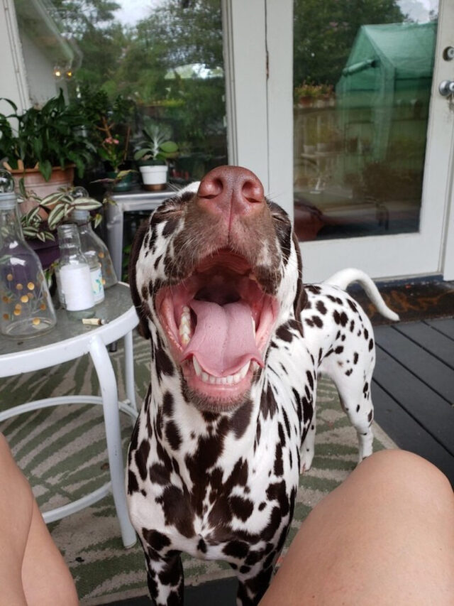 Bildschirmarbeiter - Picdump KW 49/2025